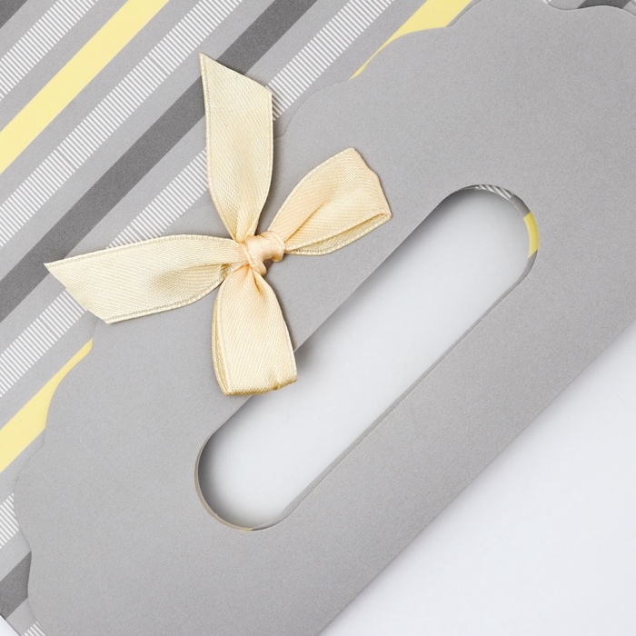 Подарочная коробка-пакет, упаковка с вырубной ручкой, Подарочная коробка-пакет, упаковка с вырубной ручкой, "Прямые линии" , 19 х 9 х 27 см