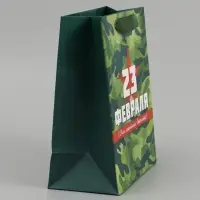 Набор подарочных ламинированных пакетов &laquo;Звезда&raquo;, 10 шт, 18 &times; 23 &times; 10 см