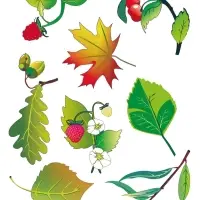 Трафарет - раскраска Calligrata, набор, 6 штук, для мальчиков