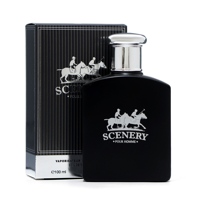 Туалетная вода мужская Scenery, 100 мл Туалетная вода мужская Scenery, 100 мл