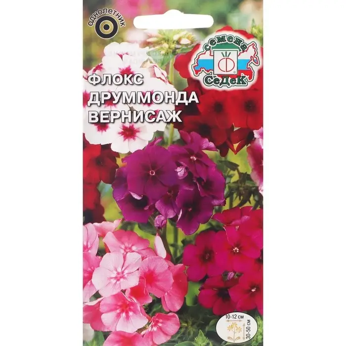 Семена Цветов Флокс "Вернисаж "0.25 г Семена Цветов Флокс "Вернисаж "0.25 г
