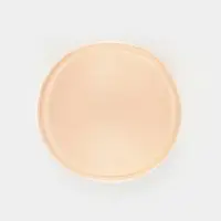 Чашки для бюстгальтера &laquo;Круг&raquo;, L (48), d=14.5 см, пара, бежевые