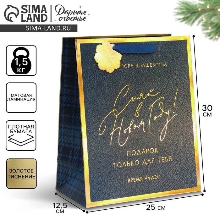 Пакет подарочный новогодний ламинированный «Сияй в Новом Году», 25,4 х 30,5 х12,7 см