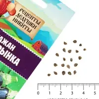 Семена Баклажан &laquo;Король Рынка&raquo;, 0.1 г, &laquo;Рецепты дедушки Никиты&raquo;