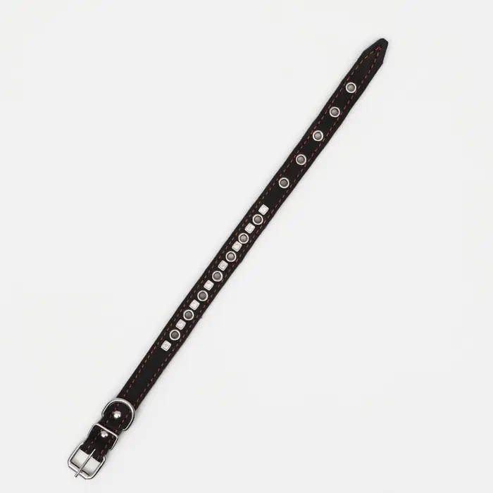 Ошейник украшенный, безразмерный, 47&times;2 см, ОШ 28-39 см, на синтепоне, кожа, чёрный