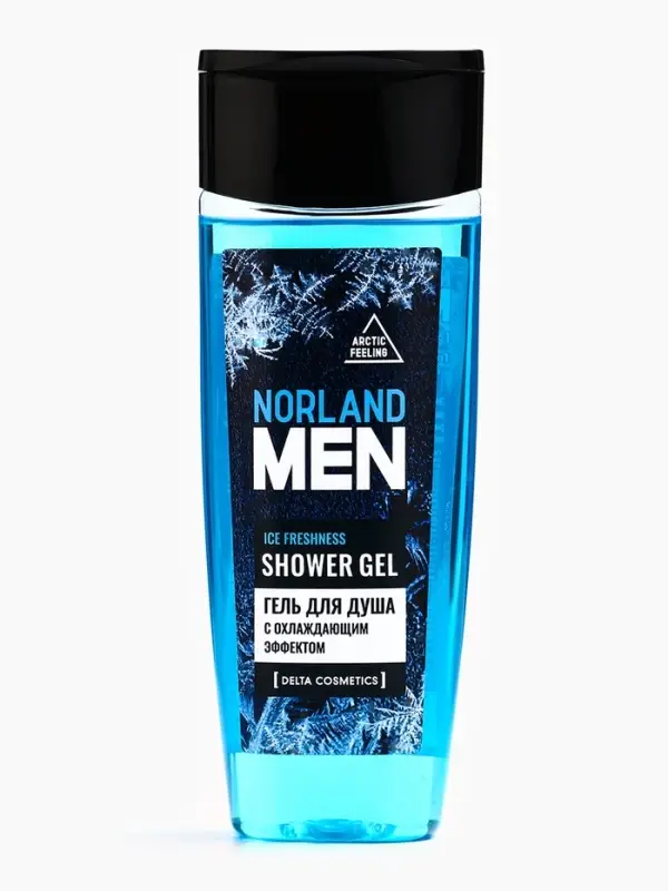 Подарочный набор мужской Norland Men Ice Freshness: гель для душа 250 мл + шампунь 250 мл