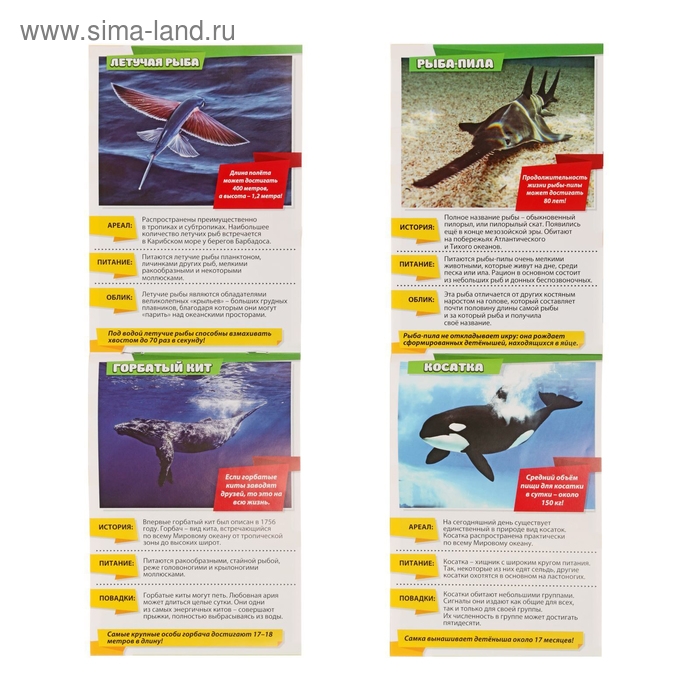 Мини-энциклопедии набор «Узнаём про всё вокруг. Живая природа», 8 шт. по 20 стр. Мини-энциклопедии набор «Узнаём про всё вокруг. Живая природа», 8 шт. по 20 стр.