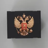 Коробка подарочная самосборная &laquo;Патриот&raquo;, 31&times;25.5&times;16 см