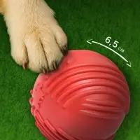 Мяч для собак &laquo;Суперпес&raquo;, 6.5 см, рифленый, TPR, красный