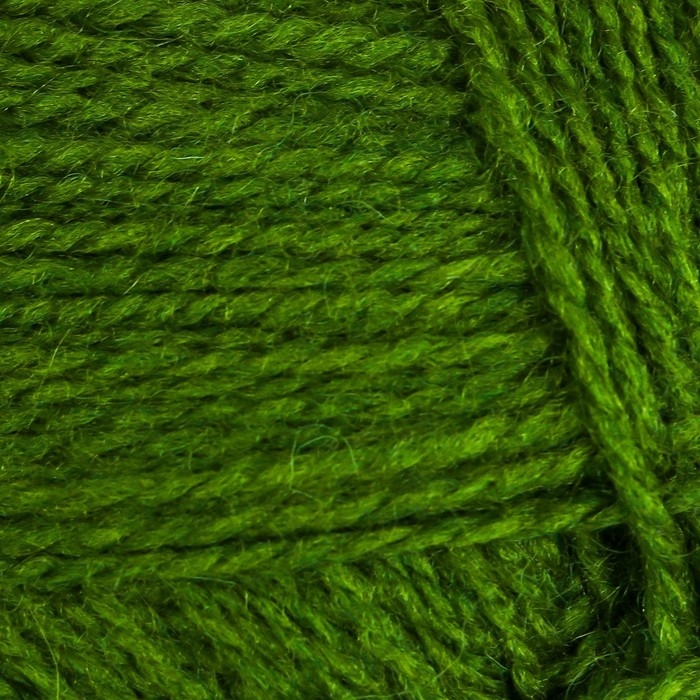 Пряжа  Пряжа "Ангорская тёплая" 40% шерсть, 60% акрил 480м/100гр (119 горох)