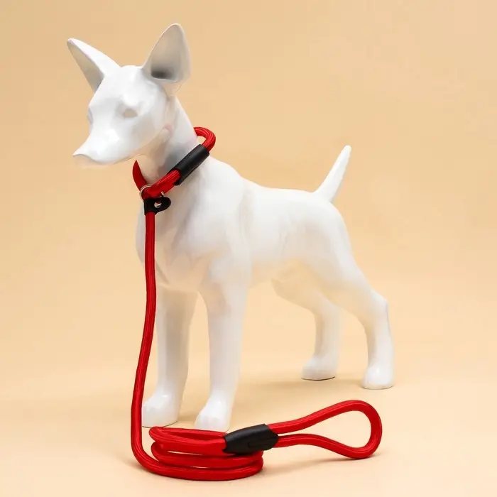 Ринговка для собак, 130&times;1 см, красная