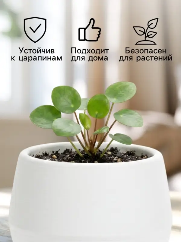 Горшок цветочный &laquo;Япония&raquo;, 125 мл, d=8 см, h=6.5 см, пластиковый, с поддоном, белый