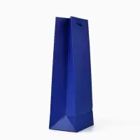 Пакет подарочный под бутылку &laquo;Подарок&raquo;, голография, 13&times;10&times;36 см
