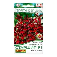 Семена Цветов Лобелия "Старшип", F1, бургунди, пробирка, 5 шт