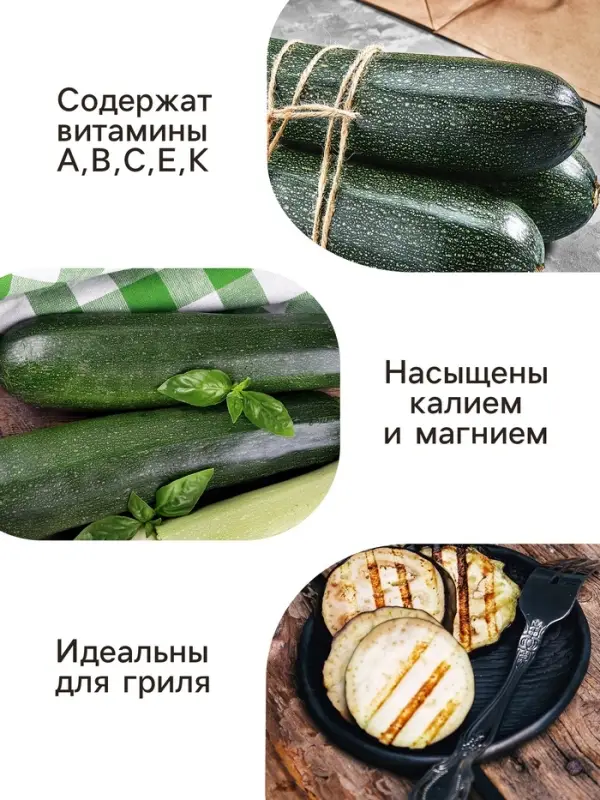 Семена Кабачок цукини  Семена Кабачок цукини "Цукеша", 2 г