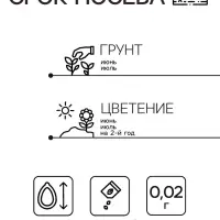 Семена Маргаритка "Весна розовая ранняя", ц/п, 0,02 г Семена Маргаритка "Весна розовая ранняя", ц/п, 0,02 г