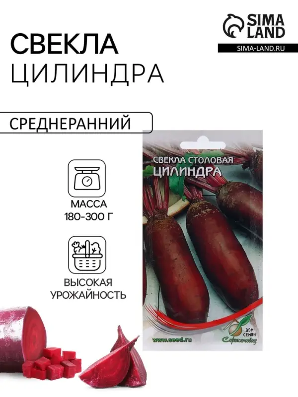 Семена Свекла "Цилиндра"  140 шт