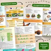 Энциклопедия в мягком переплёте &laquo;Биология для детей&raquo;, 68 стр.