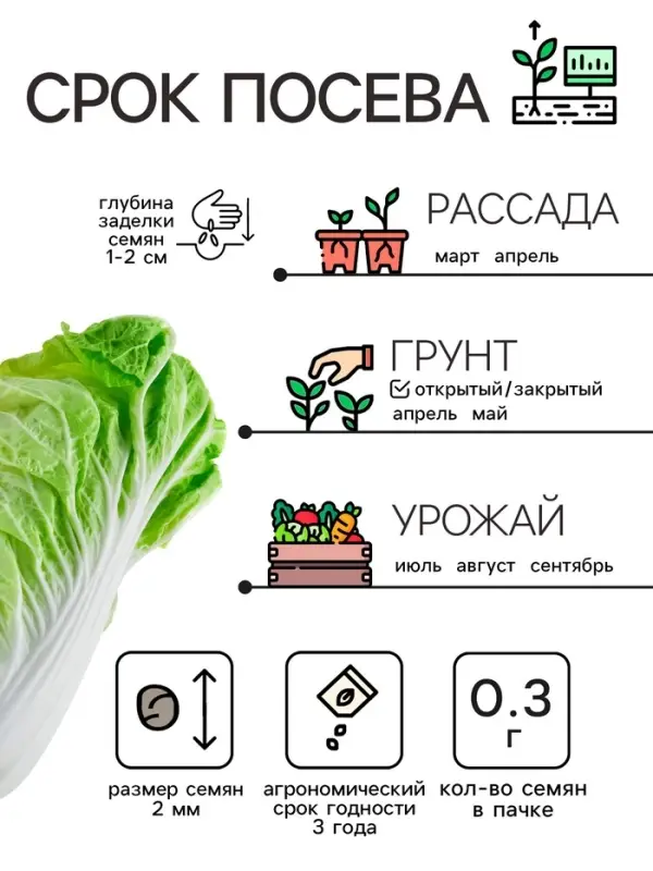 Семена Капуста пекинская "ЧА-ЧА", 0.3 г