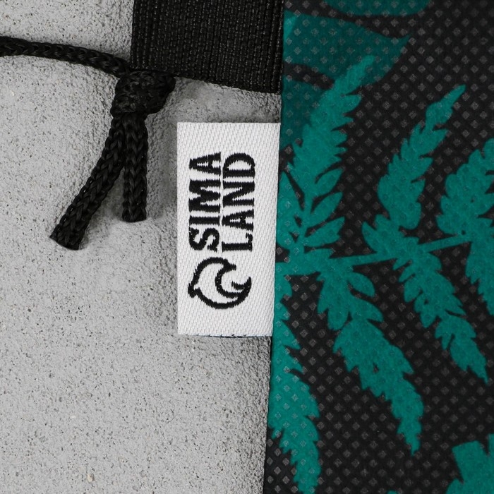 Мешок для обуви «1 сентября: T-REX динозавр» нетканное полотно, размер 30 х 40 см Мешок для обуви «1 сентября: T-REX динозавр» нетканное полотно, размер 30 х 40 см