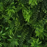 Декоративная панель, 40&times;60 см, &laquo;Разнотравье&raquo;, Greengo