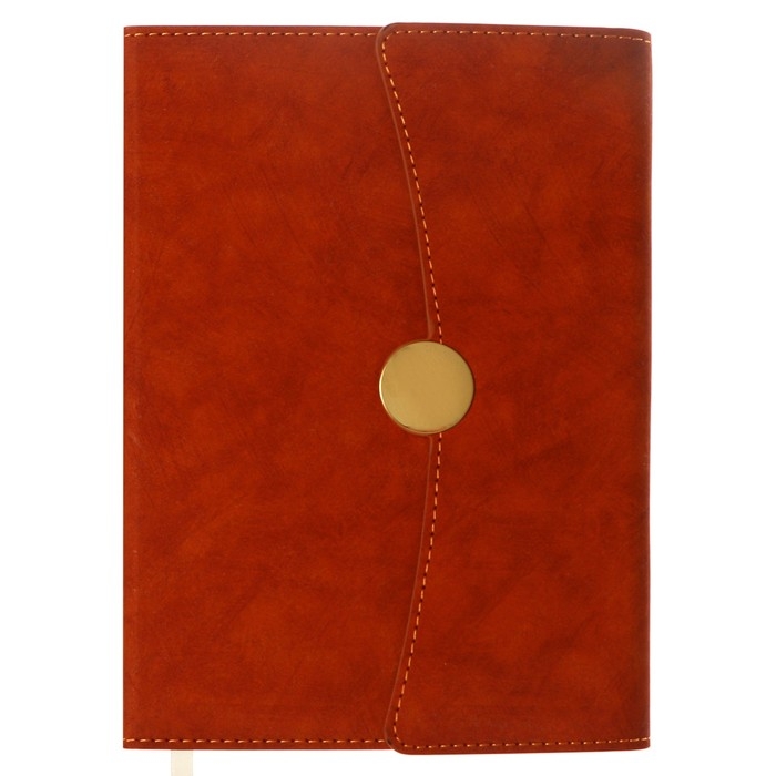 Органайзер на кольцах А6+, 80 листов, кожзам, c клапаном, линия, с ручкой, в подарочной коробке, коричневый Органайзер на кольцах А6+, 80 листов, кожзам, c клапаном, линия, с ручкой, в подарочной коробке, коричневый