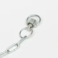 Цепь для привязи собак, 5 м, калибр 3&times;21 мм, белая