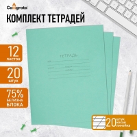 Комплект тетрадей из 20 штук, 12 листов в косую линию КПК "Зелёная обложка", блок №2, белизна 75% (серые листы)