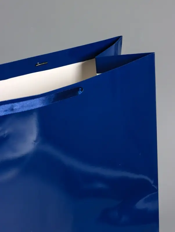 Пакет ламинированный горизонтальный "Синий", XXL  61 х 46 х 20 см