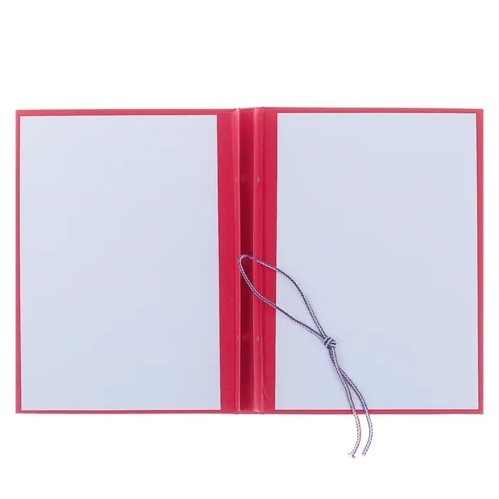 Папка &laquo;Магистерская диссертация&raquo; бумвинил, гребешки/сутаж, без бумаги, красная, (вместимость до 300 листов)