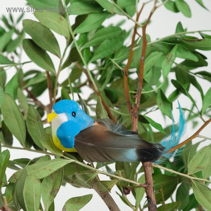 Птичка для декора и флористики, на прищепке, МИКС, пластиковая, 1шт., 8 х 8 см Птичка для декора и флористики, на прищепке, МИКС, пластиковая, 1шт., 8 х 8 см