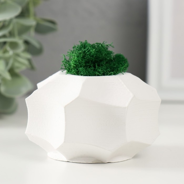 Кашпо бетонное Кашпо бетонное "Грани" со мхом белый 7,5х7,5х5 см (мох зеленый стабилизированный)