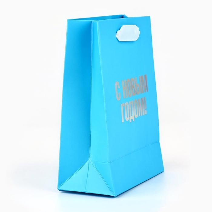 Пакет подарочный новогодний «С Новым годом», голография, S 12 х 5.5 х 15 см, Новый год Пакет подарочный новогодний «С Новым годом», голография, S 12 х 5.5 х 15 см, Новый год