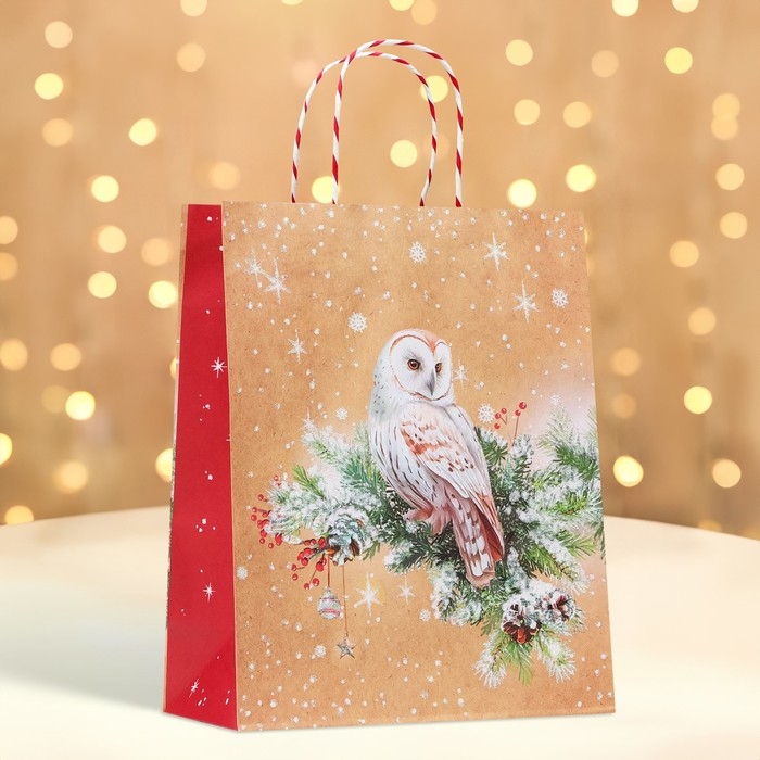 Новый год. Пакет бумажный подарочный новогодний крафт Новый год. Пакет бумажный подарочный новогодний крафт "Совушка" 18 х 22,3 х 10 см.