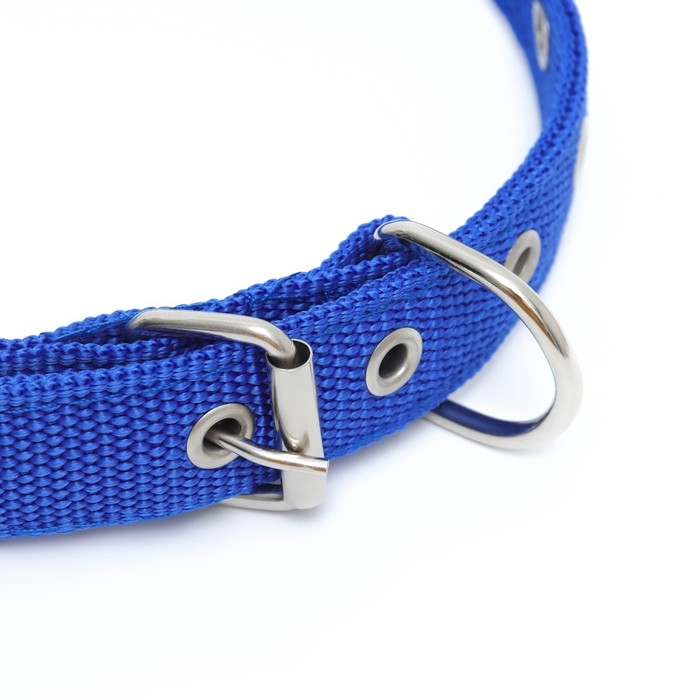 Ошейник Ошейник "Комфорт" комбинированный, 55 х 2,5 см, ОШ 40-50 см, синий