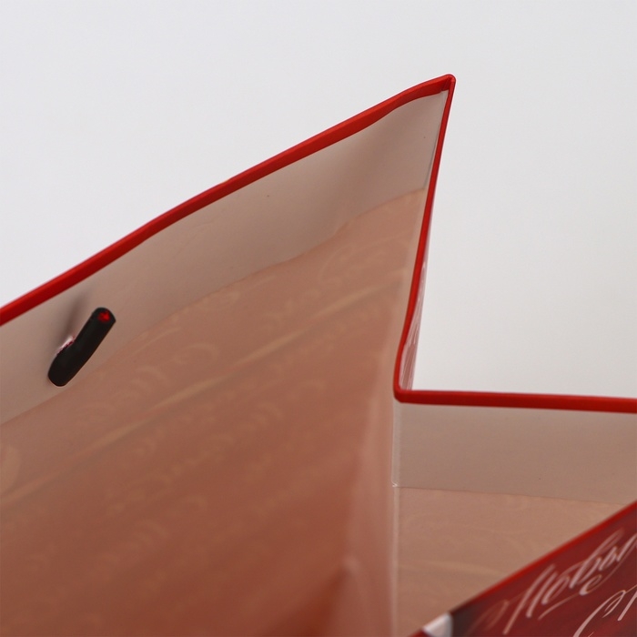 Пакет ламинированный «С новым годом!», MS 18 × 23 × 10 см