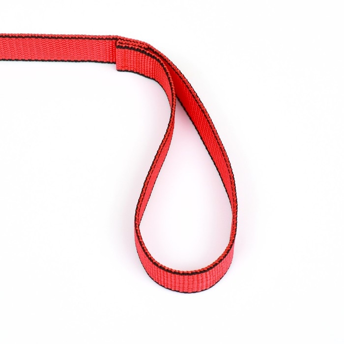 Поводок 5 м х 2,5 см, красно-чёрный Поводок 5 м х 2,5 см, красно-чёрный