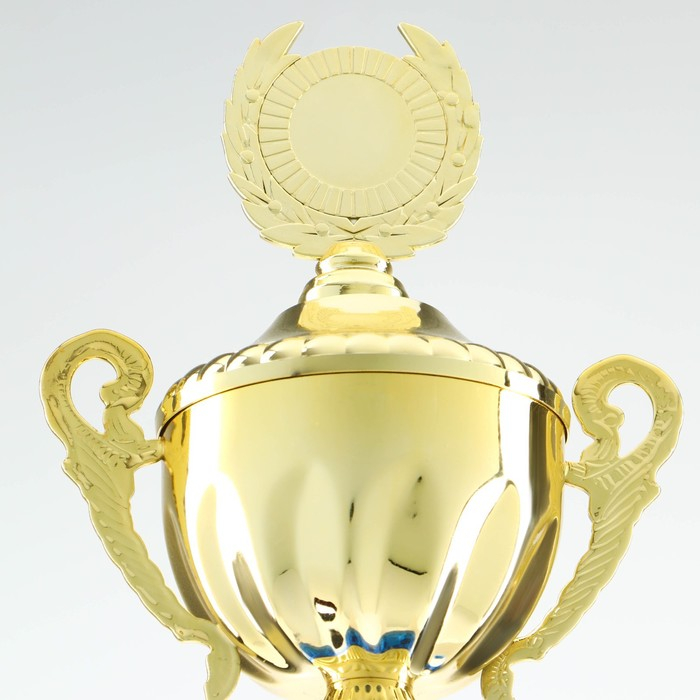 Кубок 101, наградная фигура, золото, подставка пластик, 34 х 12 х 8,5 см. Кубок 101, наградная фигура, золото, подставка пластик, 34 х 12 х 8,5 см.