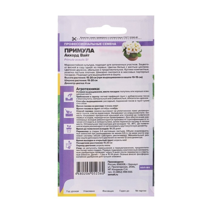 Семена Примула  Семена Примула "Аккорд Вайт", 5 шт