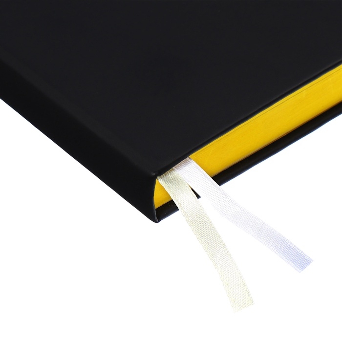 Ежедневник датированный 2025 года, deVENTE. Flag, A5 168 листов, deVENTE. Duo, твердая обложка кожзам с поролоном, шелкография, перфорация, ляссе, блок 70 г/м2 Ежедневник датированный 2025 года, deVENTE. Flag, A5 168 листов, deVENTE. Duo, твердая обложка кожзам с поролоном, шелкография, перфорация, ляссе, блок 70 г/м2