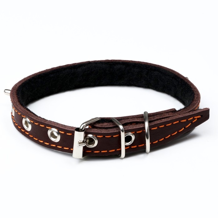 Ошейник кожаный на синтепоне, Ошейник кожаный на синтепоне, "Ёж" 36 х 1.5 см, ОШ 20-30 см, коричневый