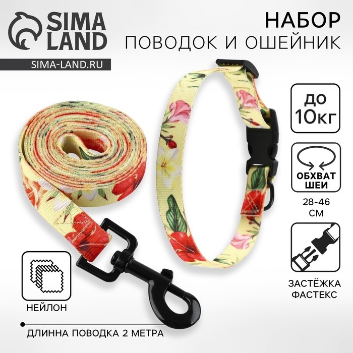 Набор &laquo;Цветы&raquo;, застёжка - фастекс, поводок 2 м и ошейник 28-46 см