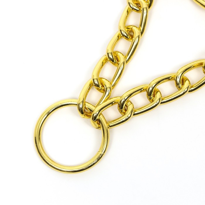 Ошейник - полуудавка металлический двухрядный, 50 см, толщина проволоки 2,5 мм, золотистый Ошейник - полуудавка металлический двухрядный, 50 см, толщина проволоки 2,5 мм, золотистый