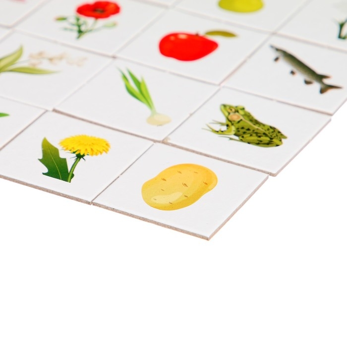 Лото «Лето в деревне» Лото «Лето в деревне»