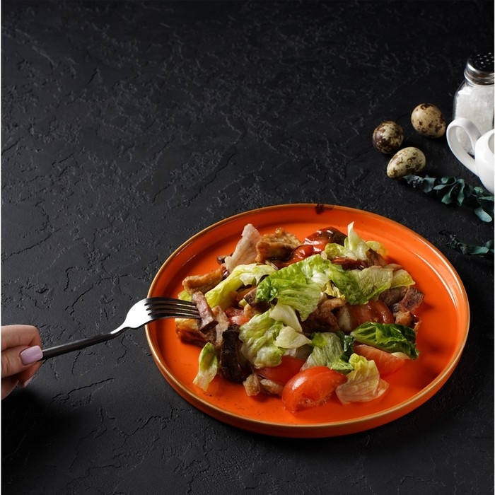 Тарелка фарфоровая с бортиком Magistro «Церера», d=25,5 см, цвет оранжевый Тарелка фарфоровая с бортиком Magistro «Церера», d=25,5 см, цвет оранжевый