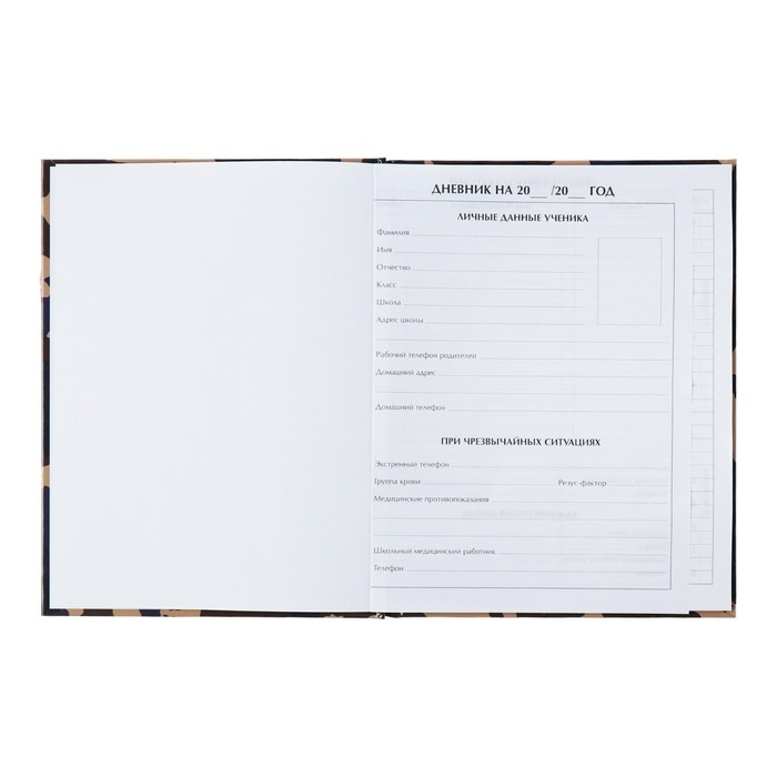 Дневник универсальный для 1-11 классов, Дневник универсальный для 1-11 классов, "Спецназ", твердая обложка 7БЦ, глянцевая ламинация, 40 листов