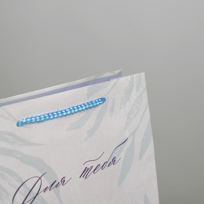 Пакет подарочный ламинированный, упаковка, «For you», ML 25 х 21 х 8 см Пакет подарочный ламинированный, упаковка, «For you», ML 25 х 21 х 8 см