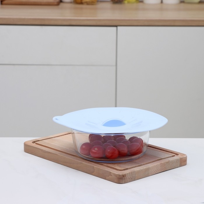 Крышка для хранения Доляна «Симпл», силикон, d=21 см, цвет голубой Крышка для хранения Доляна «Симпл», силикон, d=21 см, цвет голубой