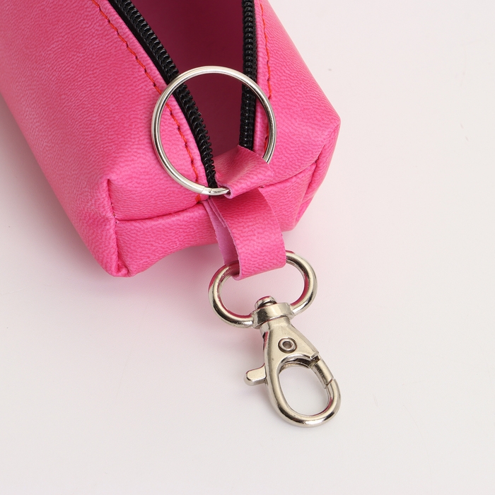 Ключница на молнии, длина 16 см, кольцо, карабин, цвет розовый Ключница на молнии, длина 16 см, кольцо, карабин, цвет розовый
