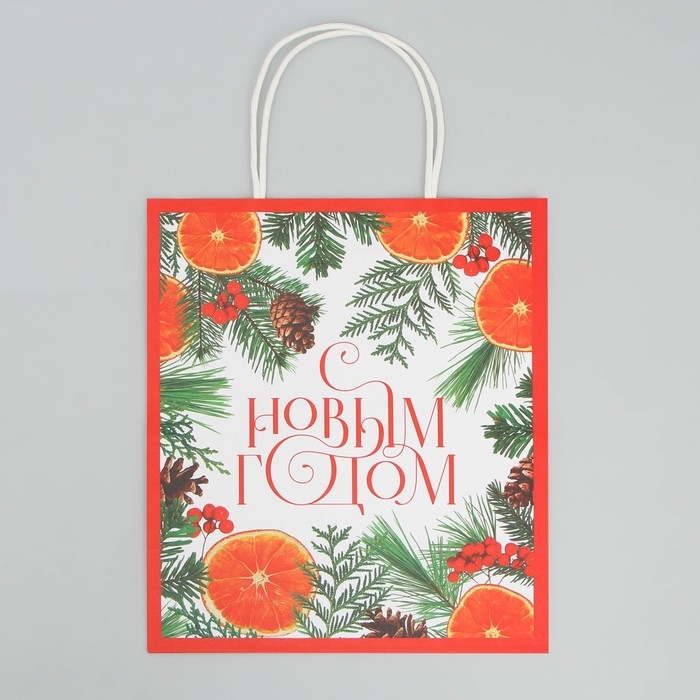 Пакет подарочный новогодний крафтовый «Новогоднее чудо», 22 х 25 х 12 см, Новый год Пакет подарочный новогодний крафтовый «Новогоднее чудо», 22 х 25 х 12 см, Новый год
